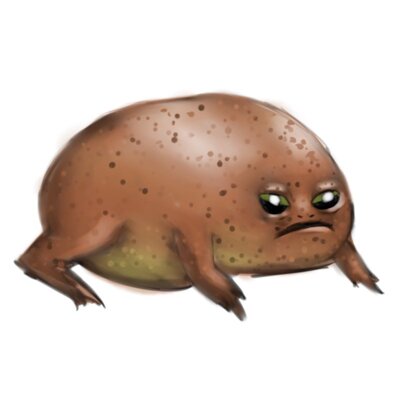 black rain frog brown